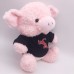 KATIANSEAGO PINK PLUSH PIGGY TOY