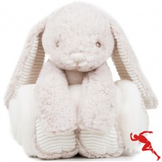 CHILDRENS/KIDS CUTE PLUSH RABBIT TOY WITH BLANKET