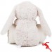 CHILDRENS/KIDS CUTE PLUSH RABBIT TOY WITH BLANKET