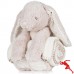 CHILDRENS/KIDS CUTE PLUSH RABBIT TOY WITH BLANKET