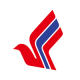 FLYING PIGEON